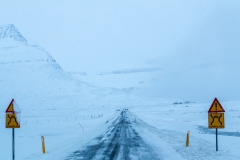 Auf den Weg in die Westfjords - Island