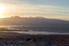 Von den Westfjords nach Reykjavik - Island