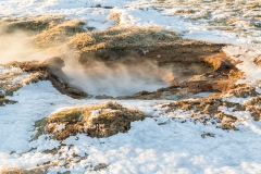 Golden Circe Tour - Island