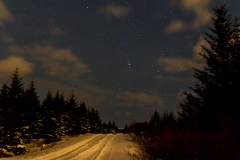 Nordlichter suchen rund um Reykjavik - Island