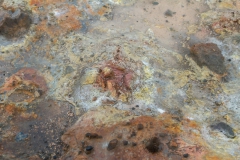 Reykjanes Halbinsel - Island