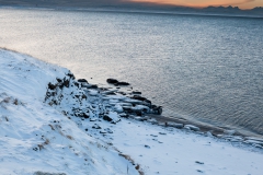 Auf den Weg in die Westfjords - Island
