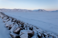 Auf den Weg in die Westfjords - Island