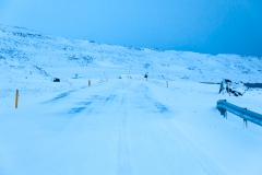 Auf den Weg in die Westfjords - Island