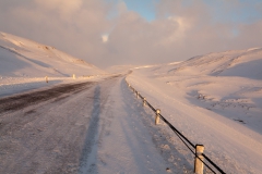 Von den Westfjords nach Reykjavik - Island