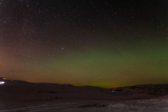 Nordlichter suchen rund um Reykjavik - Island