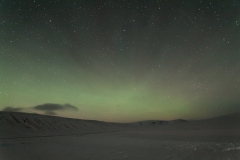 Nordlichter suchen rund um Reykjavik - Island