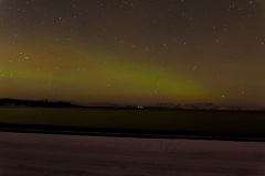 Nordlichter suchen rund um Reykjavik - Island