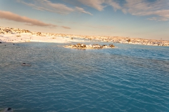 Reykjanes Halbinsel - Blaue Lagune - Island