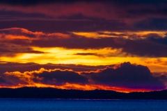 Mit der Ocean Diamond zu den Falklandinseln