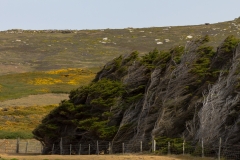 Falklandinseln