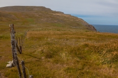 Falklandinseln