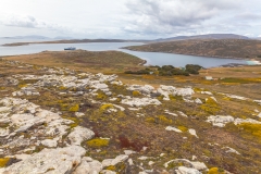Falklandinseln