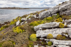 Falklandinseln