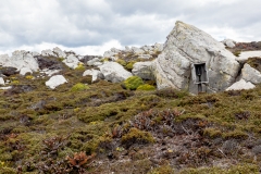 Falklandinseln