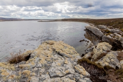 Falklandinseln