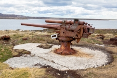 Falklandinseln