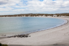 Falklandinseln