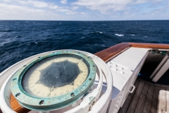 Mit der Ocean Diamond von den  Falklandinseln nach Südgeorgien