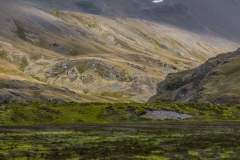 Südgeorgien