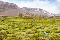 Südgeorgien