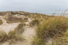 Frankreich - National Nature Reserve of the Dune Marchand