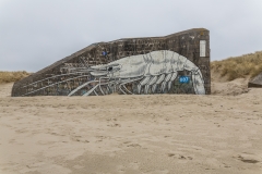 Frankreich - National Nature Reserve of the Dune Marchand