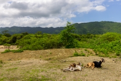 Agua Blanca - aber mit Abwechslung