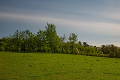 Bonn - Rodderberg