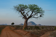 Kenya - Tsavo East National Park