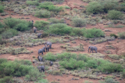 Kenya - Amboseli National Park
