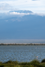 Kenya - Amboseli National Park