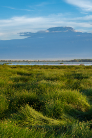 Kenya - Amboseli National Park