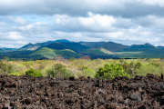 Kenya - Tsavo West - Shetani Lava Flow