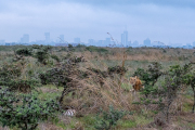 Kenya - Nairobi - Nairobi National Park