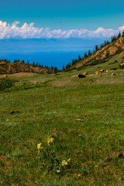 Kyrgyzstan - Around Lake Issyk Kul