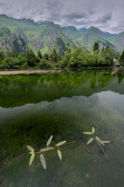 Kyrgyzstan  - Chychkan