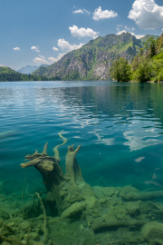 Kyrgyzstan - Sary Chelek