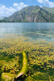 Kyrgyzstan - Sary Chelek