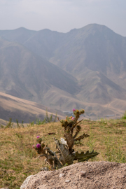 Kyrgyzstan - Chunkurchak