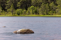 Scotland - Loch Morlich