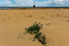 Scotland - Rattray Head Lighthouse