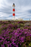 Scotland - Tarbat Ness Lighthouse