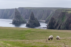 Scotland - Duncansby Head