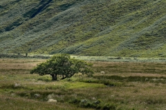 Scotland - North Coast