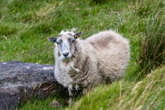 Scotland - West Coast