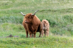 Scotland - West Coast