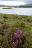 Scotland - South Uist