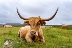 Scotland - North Uist