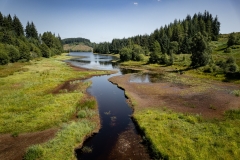 Scotland - Loch Drunkie
